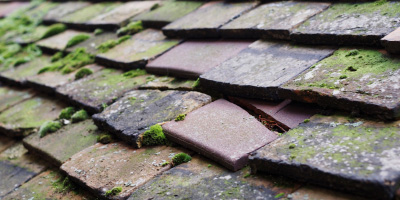 Rame roof repair costs